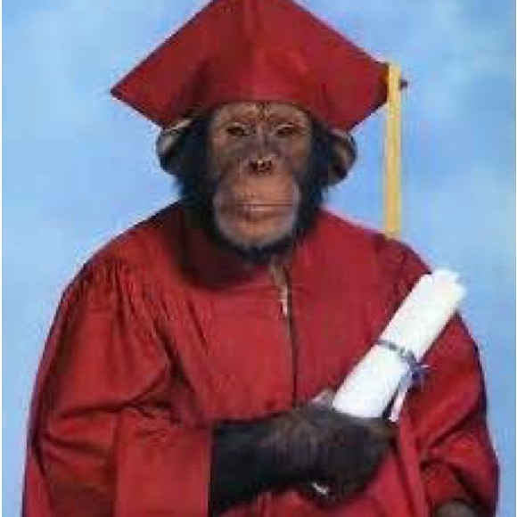 Meet your Posher, Tristan - Picture 1 of 1